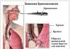 Qu'est-ce que la bronchoscopie, comment se déroule-t-elle et est-ce dangereux ?